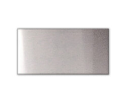 Stainless finish shower waste drain